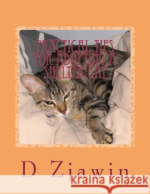 Practical Tips for Adopting a Shelter Cat