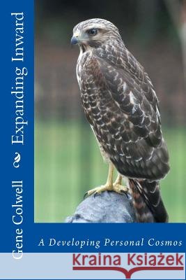 Expanding Inward: A Developing Personal Cosmos