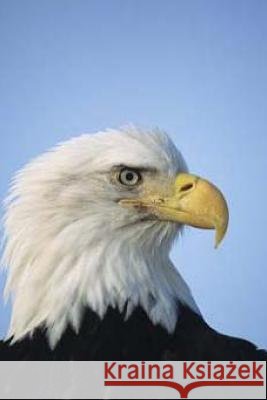 On Wings Like Eagles: Rising above the Rough Times