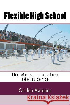 Flexible High School: The Measure against adolescence