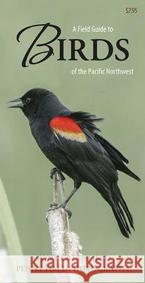 A Field Guide to Birds of the Pacific Northwest