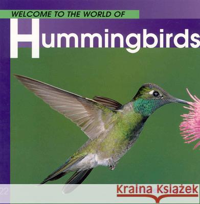Welcome to the World of Hummingbirds