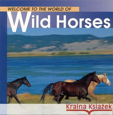 Welcome to the World of Wild Horses