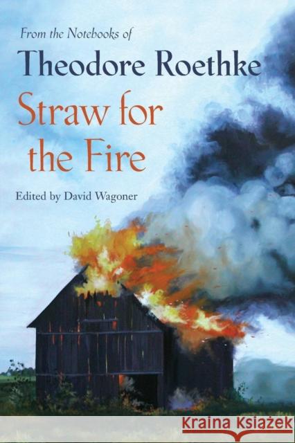 Straw for the Fire: From the Notebooks of Theodore Roethke 1943-63