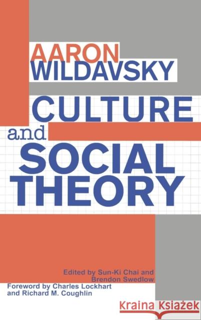 Culture and Social Theory