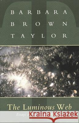 Luminous Web: Essays on Science and Religion