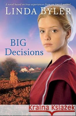 Big Decisions: A Novel Based on True Experiences from an Amish Writer!