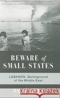 Beware of Small States: Lebanon, Battleground of the Middle East