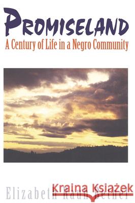 Promiseland: A Century of Life in a Negro Community