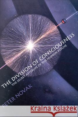 The Division of Consciousness: The Secret Afterlife of the Human Psyche: The Secret Afterlife of the Human Psyche