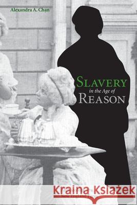 Slavery in the Age of Reason : Archaeology at a New England Farm