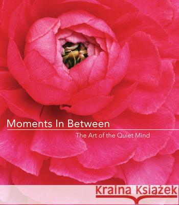 Moments in Between: The Art of the Quiet Mind (Daily Meditations; Inspiration Book for Women)