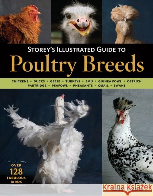 Storey's Illustrated Guide to Poultry Breeds: Chickens, Ducks, Geese, Turkeys, Emus, Guinea Fowl, Ostriches, Partridges, Peafowl, Pheasants, Quails, S