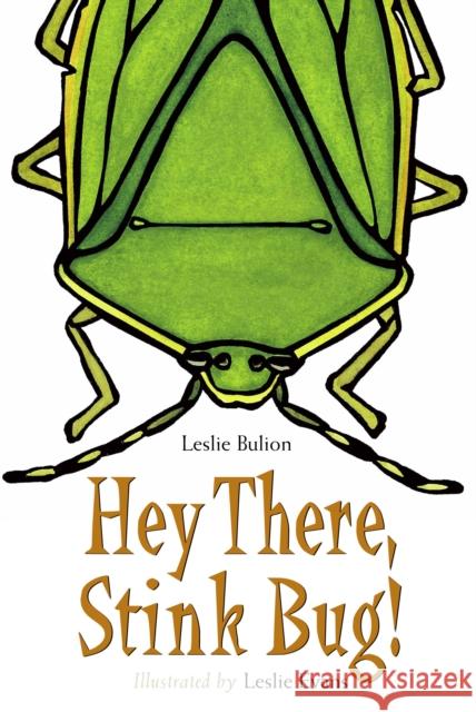 Hey There, Stink Bug!