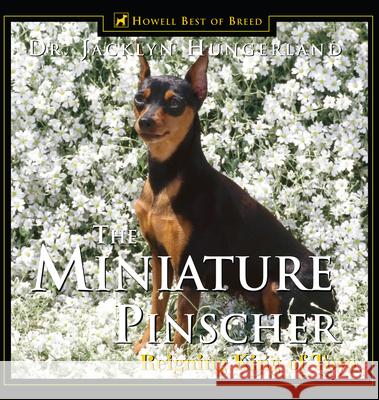 Miniature Pinscher: Reigning King of Toys