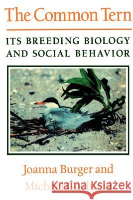 The Common Tern: Its Breeding Biology and Social Behavior