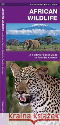 African Wildlife: A Folding Pocket Guide to Familiar Species