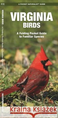 Virginia Birds: A Folding Pocket Guide to Familiar Species