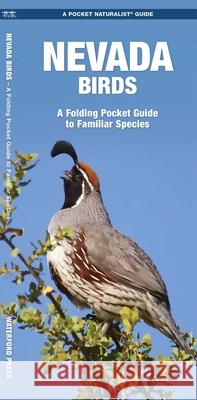 Nevada Birds: A Folding Pocket Guide to Familiar Species