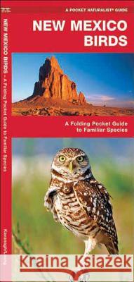 New Mexico Birds: A Folding Pocket Guide to Familiar Species