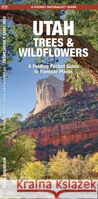Utah Trees & Wildflowers: A Folding Pocket Guide to Familiar Plants