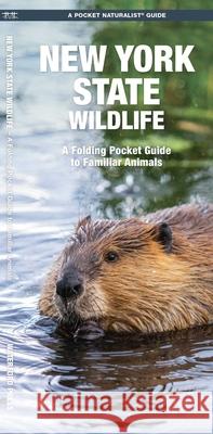 New York State Wildlife: A Folding Pocket Guide to Familiar Animals