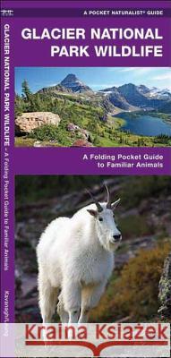 Waterton-Glacier International Peace Park Wildlife: A Folding Pocket Guide to Familiar Animals