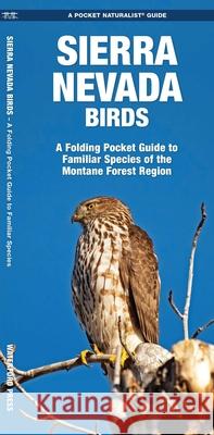 Sierra Nevada Birds: A Folding Pocket Guide to Familiar Species of the Montane Forest Region