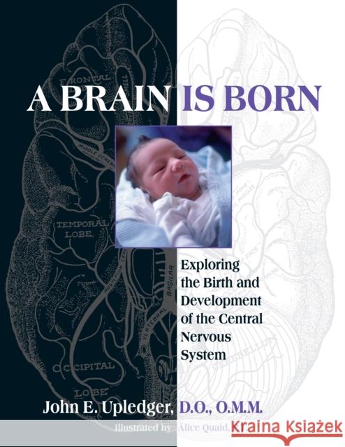 A Brain Is Born: Exploring the Birth and Development of the Central Nervous System