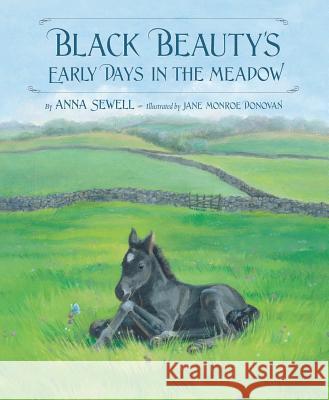 Black Beauty's Early Days in the Meadow