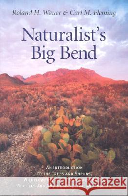 Naturalist's Big Bend: An Introduction to the Trees and Shrubs, Wildflowers, Cacti, Mammals, Birds, Reptiles and Amphibians, Fish, and Insect