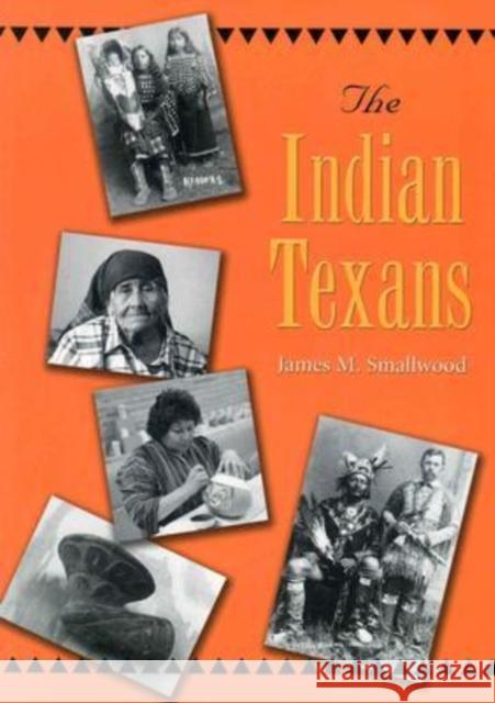 The Indian Texans