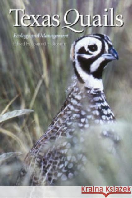 Texas Quails: Ecology and Management
