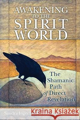 Awakening to the Spirit World: The Shamanic Path of Direct Revelation