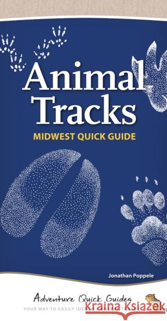 Animal Tracks of the Midwest: Your Way to Easily Identify Animal Tracks