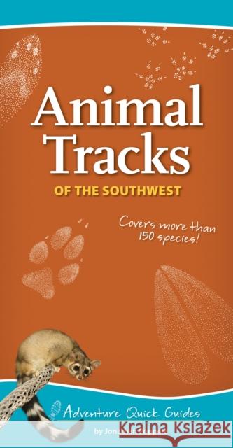 Animal Tracks of the Southwest: Your Way to Easily Identify Animal Tracks