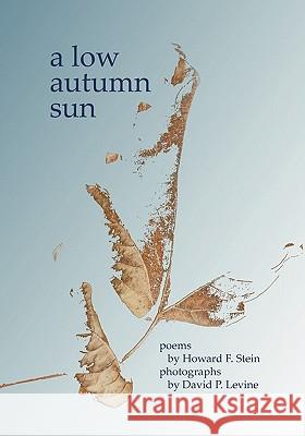 A Low Autumn Sun