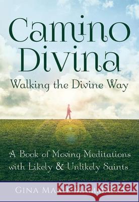 Camino Divina--Walking the Divine Way: A Book of Moving Meditations with Likely and Unlikely Saints