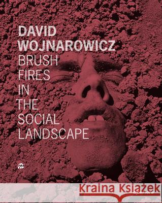 David Wojnarowicz: Brush Fires in the Social Landscape: Twentieth Anniversary Edition