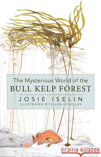 The Mysterious World of the Bull Kelp Forest