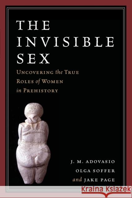 The Invisible Sex: Uncovering the True Roles of Women in Prehistory