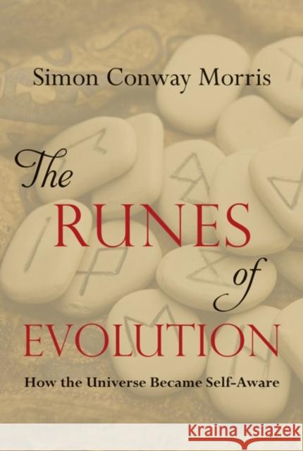 The Runes of Evolution: How the Universe Became Self-Aware