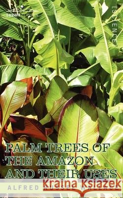 Palm Trees of the Amazon and Their Uses