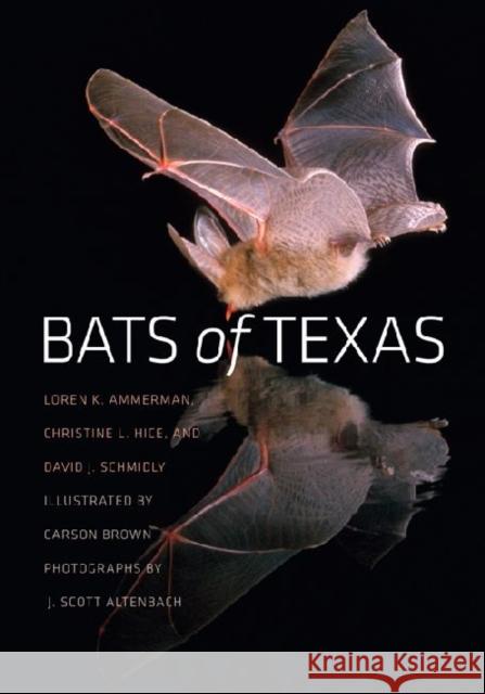Bats of Texas