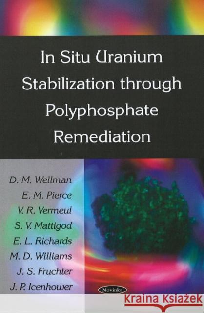 In Situ Uranium Stabilization Through Polyphosphate Remediation