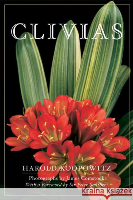 Clivias