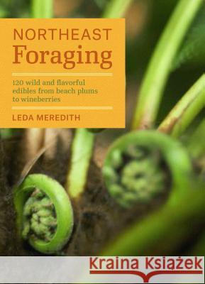 Northeast Foraging: 120 Wild and Flavorful Edibles from Beach Plums to Wineberries