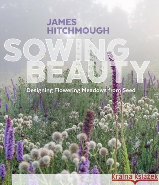 Sowing Beauty: Designing Flowering Meadows from Seed