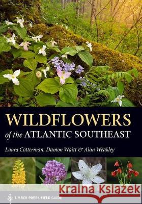 Wildflowers of the Atlantic Southeast