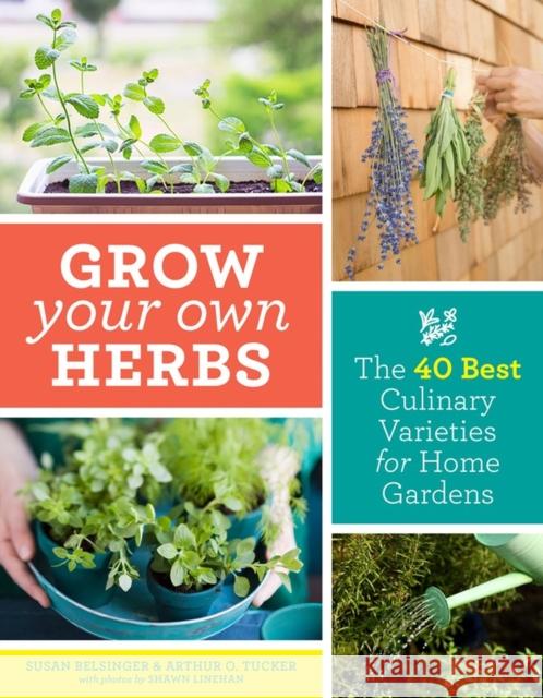 Grow Your Own Herbs: The 40 Best Culinary Varieties for Home Gardens